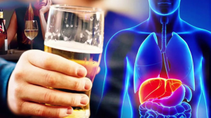 Какие органы страдают от алкоголя?